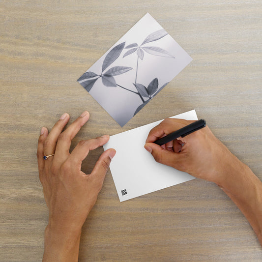 Minimalist art postcard featuring the 'Botanical (B&W)' photo art. / ポストカード：「ボタニカル (モノクロ)」のフォトアートを配したミニマリストデザイン。