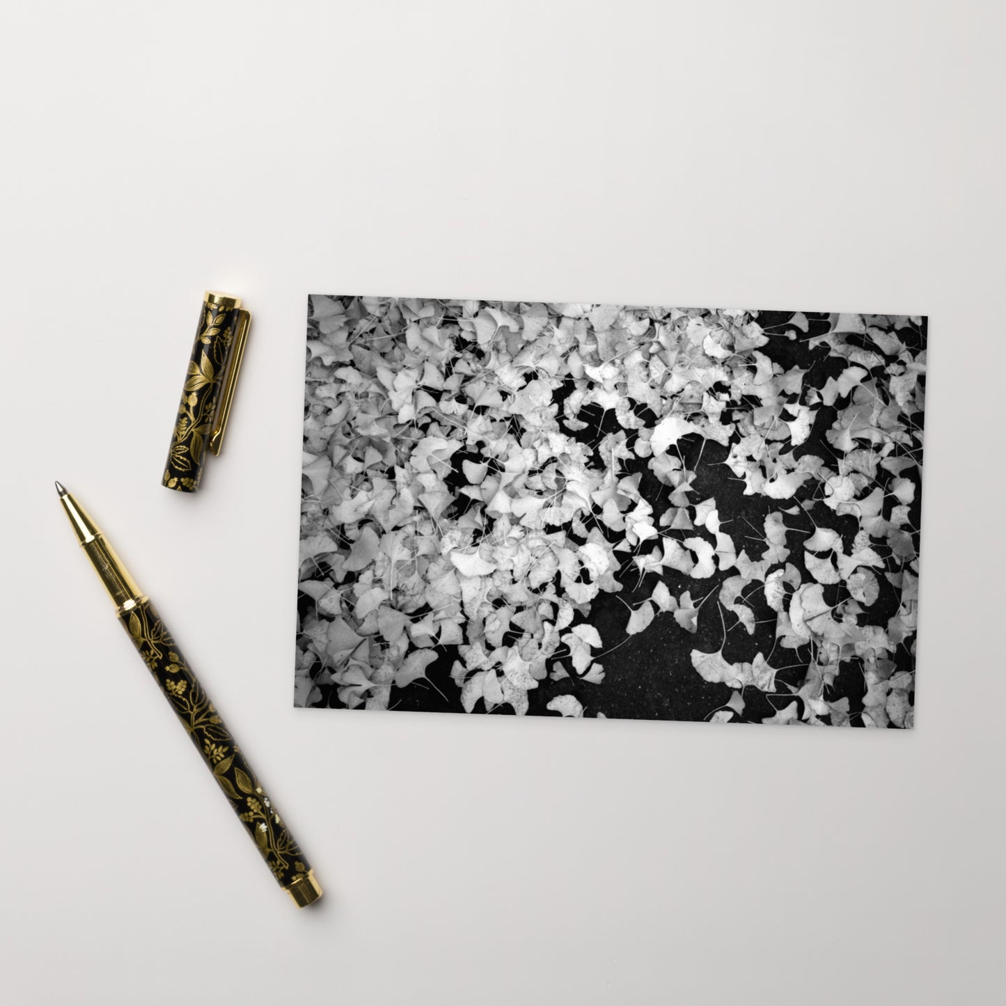 Minimalist art postcard featuring the 'Ginkgo Biloba (B&W)' photo art. / ポストカード：「イチョウ (モノクロ)」のフォトアートを配したミニマリストデザイン。