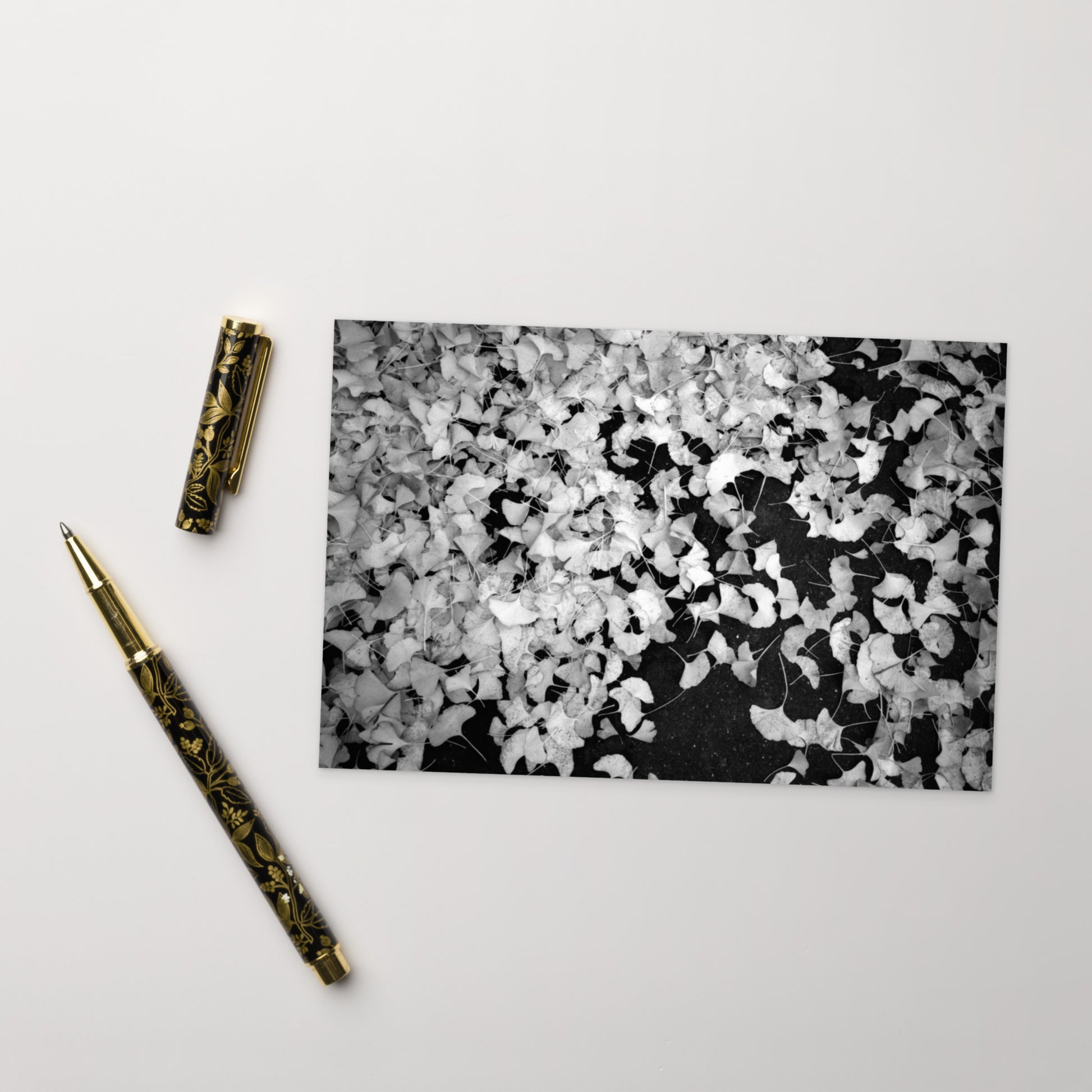 Minimalist art postcard featuring the 'Ginkgo Biloba (B&W)' photo art. / ポストカード：「イチョウ (モノクロ)」のフォトアートを配したミニマリストデザイン。