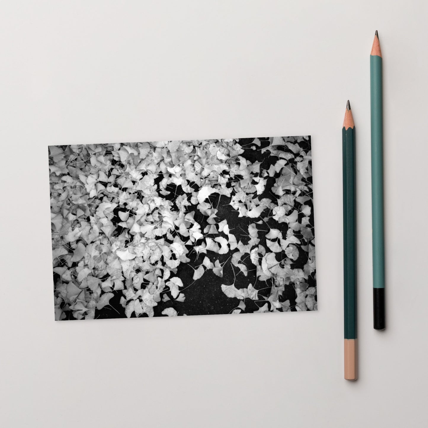 Minimalist art postcard featuring the 'Ginkgo Biloba (B&W)' photo art. / ポストカード：「イチョウ (モノクロ)」のフォトアートを配したミニマリストデザイン。