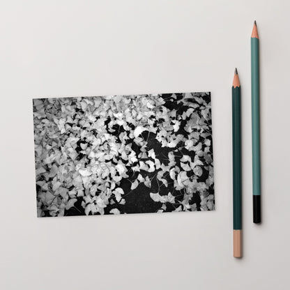 Minimalist art postcard featuring the 'Ginkgo Biloba (B&W)' photo art. / ポストカード：「イチョウ (モノクロ)」のフォトアートを配したミニマリストデザイン。