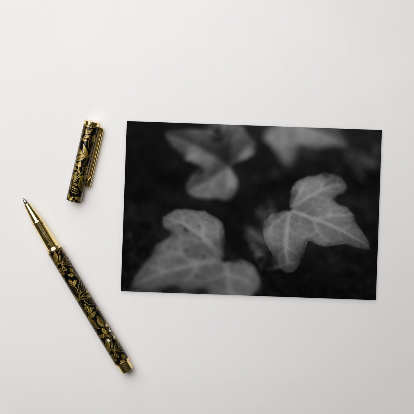 Minimalist mode style postcard featuring an 'ivy' black and white photo print / モードストリート系デザインのポストカード、「ivy（アイビー）」のモノクロ写真プリント（ポストカード）