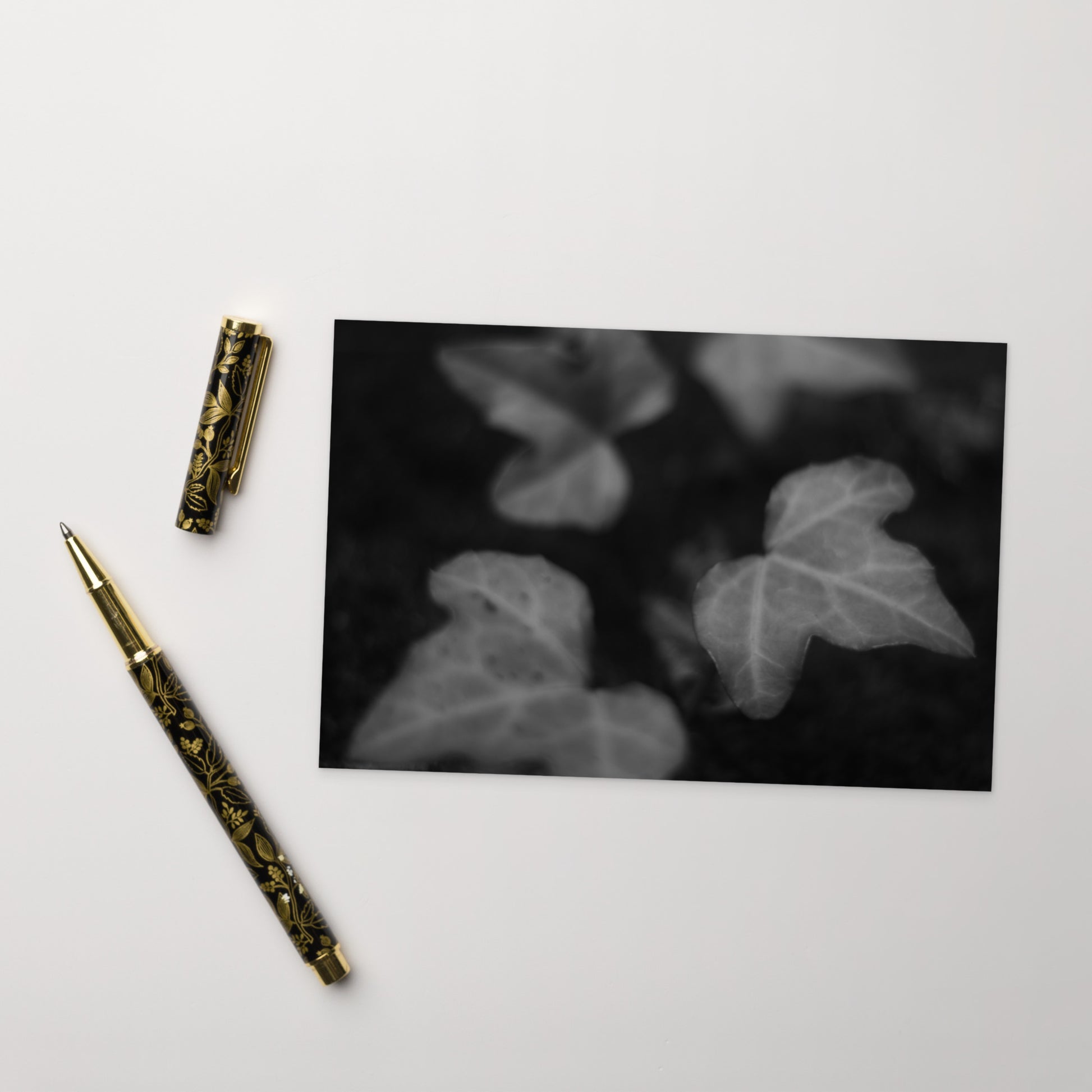 Minimalist mode style postcard featuring an 'ivy' black and white photo print / モードストリート系デザインのポストカード、「ivy（アイビー）」のモノクロ写真プリント（ポストカード）