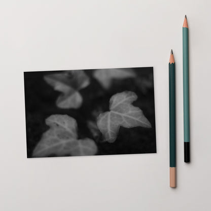 Minimalist mode style postcard featuring an 'ivy' black and white photo print / モードストリート系デザインのポストカード、「ivy（アイビー）」のモノクロ写真プリント（ポストカード）