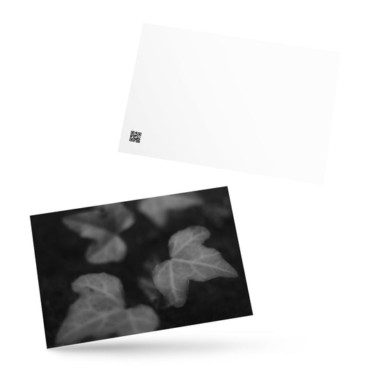 Minimalist mode style postcard featuring an 'ivy' black and white photo print / モードストリート系デザインのポストカード、「ivy（アイビー）」のモノクロ写真プリント（ポストカード）