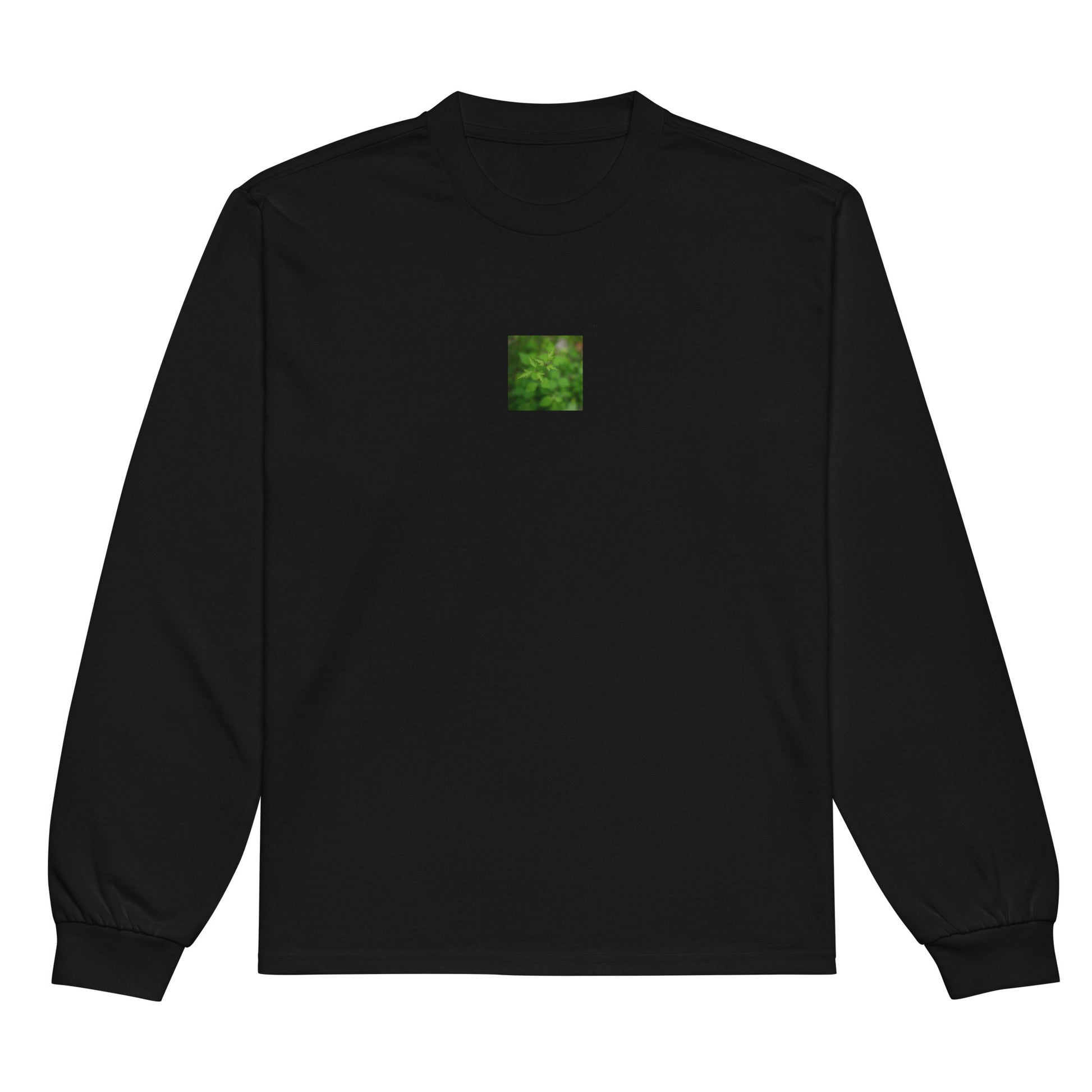 Botanical Plant Art – Premium Heavyweight Long Sleeve Shirt, Black, Front View
