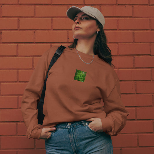 Botanical Plant Art – Premium Heavyweight Long Sleeve Shirt, Clay, Front View
