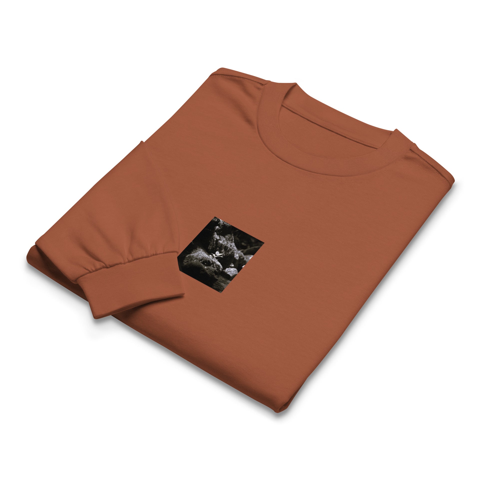 Plant on a Rock (B&W) Art – Premium Heavyweight Long Sleeve Shirt, Clay, Front View