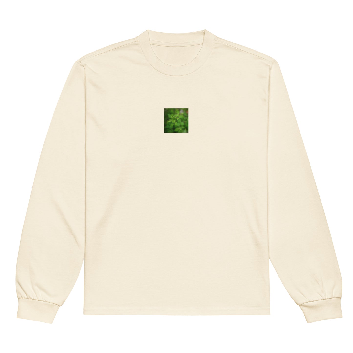 Botanical Plant Art – Premium Heavyweight Long Sleeve Shirt, Ecru, Front View

