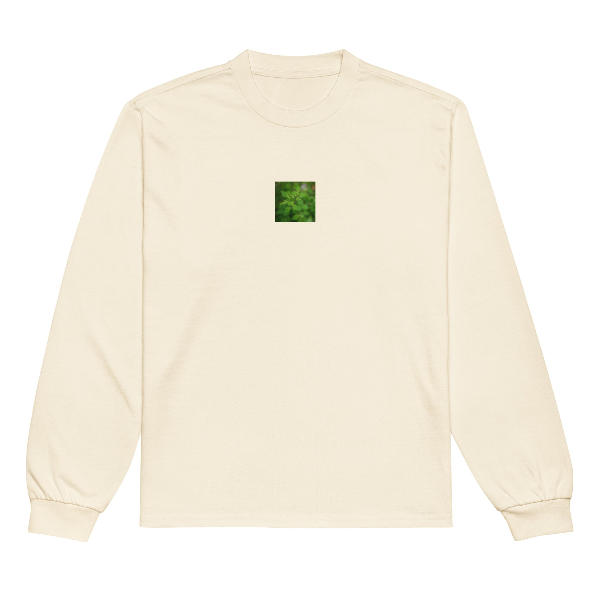 Botanical Plant Art – Premium Heavyweight Long Sleeve Shirt, Ecru, Front View
