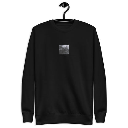 Silver Grass Cluster Botanical B&W Art – Unisex Premium Sweatshirt, Black, Front View