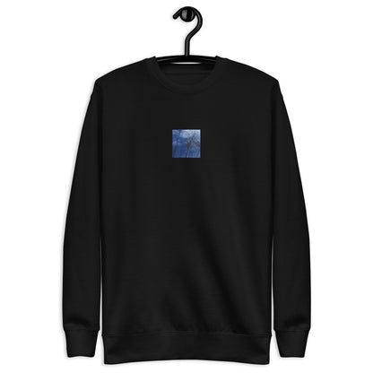 Silver Grass Cluster Botanical Art – Unisex Premium Sweatshirt, Black, Front View