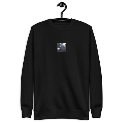 Maple Abstraction Botanical B&W Art – Unisex Premium Sweatshirt, Black, Front View