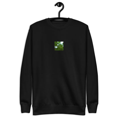 Maple Abstraction Botanical Art – Unisex Premium Sweatshirt, Black, Front View