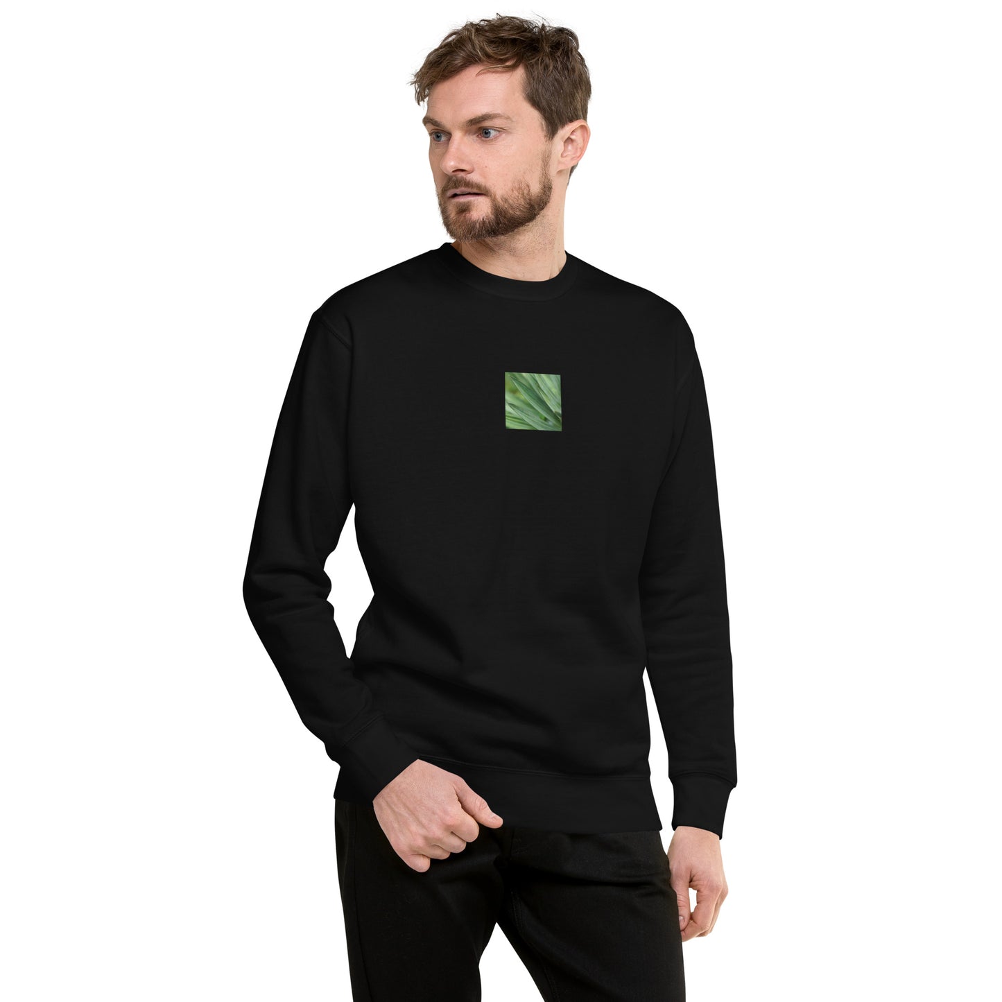 Minimalist streetwear style unisex premium sweatshirt in black, featuring a vibrant Yucca plant color photograph on the chest. A modern, monochromatic staple with a comfortable fleece interior. / モードストリート系ユニセックス・ブラック・プレミアムスウェット。フロントにユッカ植物のカラー写真プリント。内側は暖かなフリース素材。