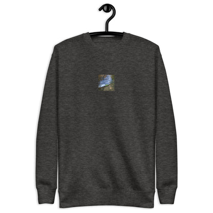 Drifted Leaf - Unisex Premium Sweatshirt Charcoal Heather