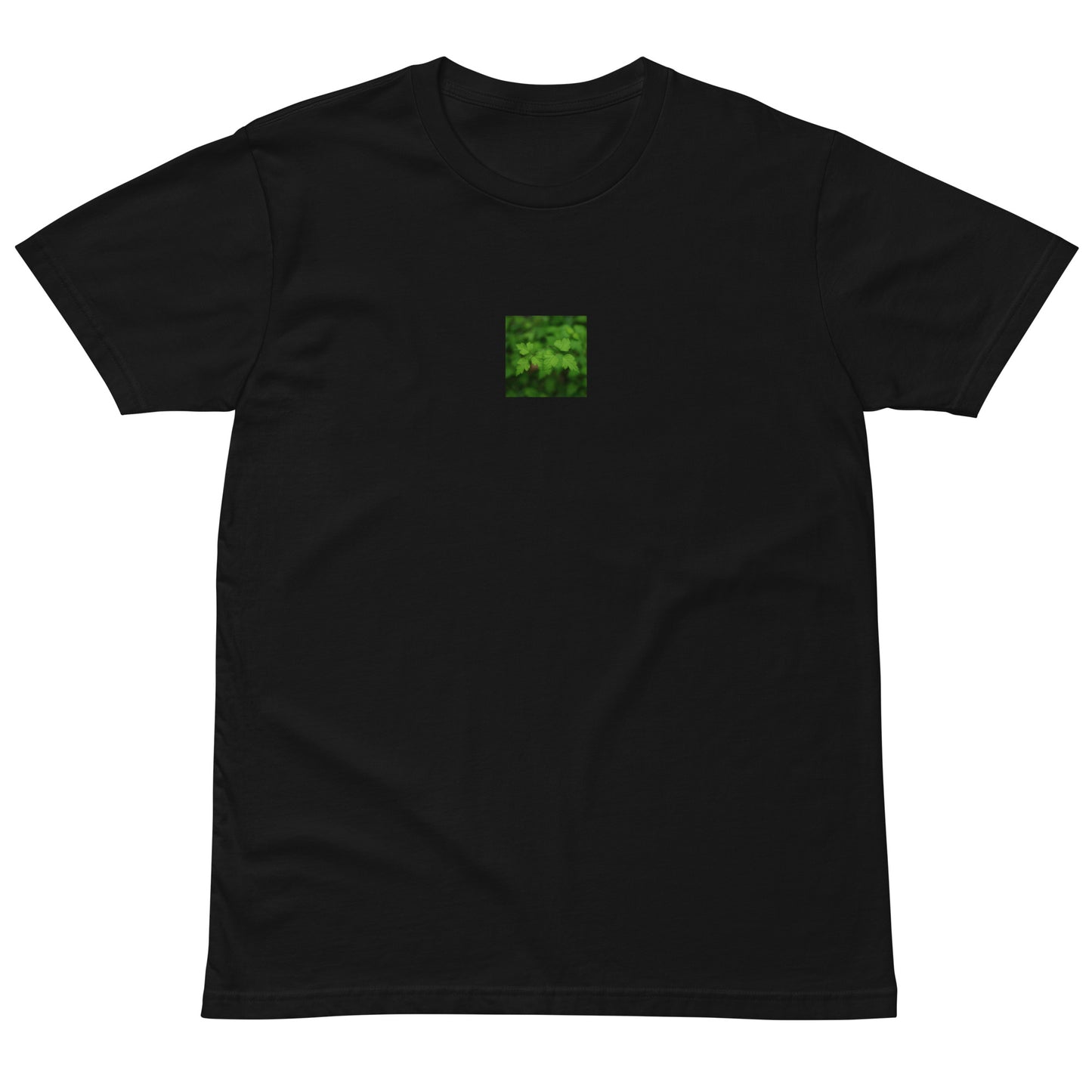 Premium T-Shirt in Black – plants botanical art print, detail view
