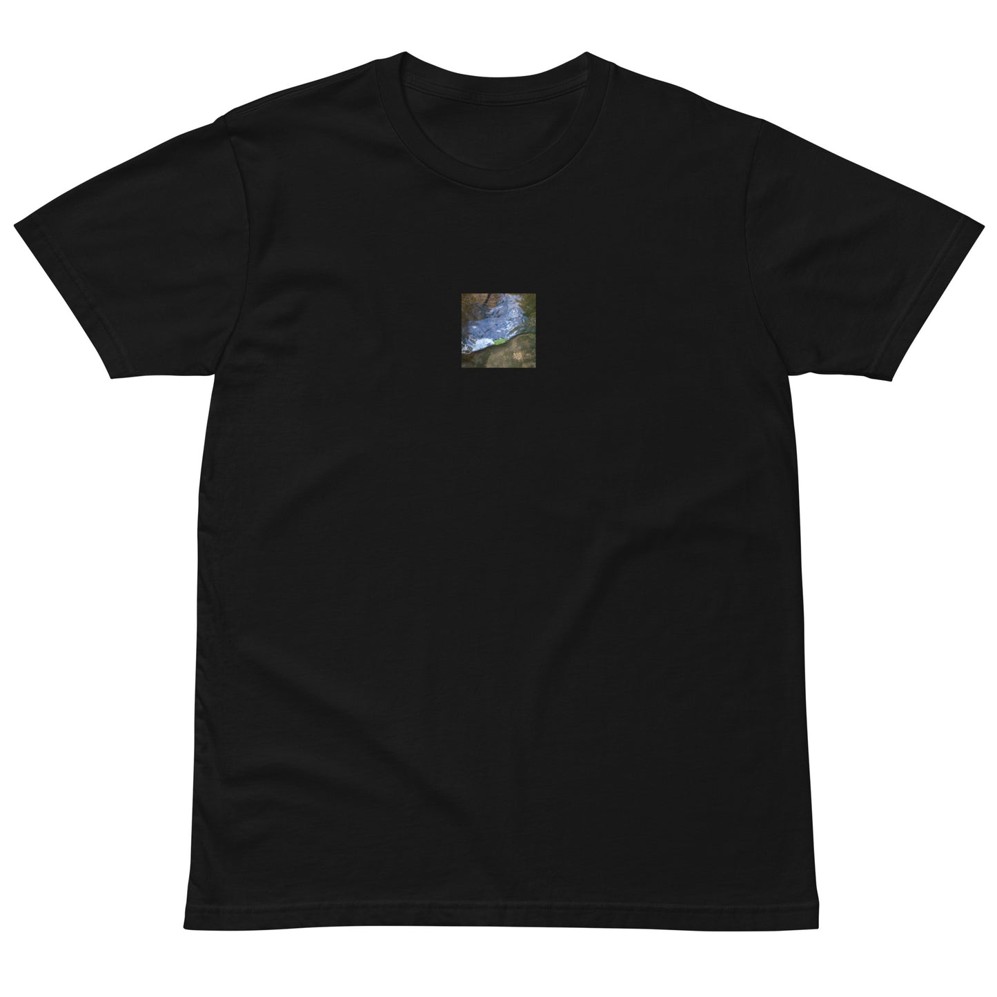Drifted Leaf - Premium T-Shirt Black