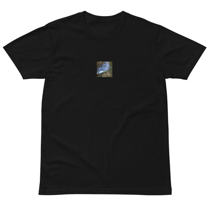 Drifted Leaf - Premium T-Shirt Black