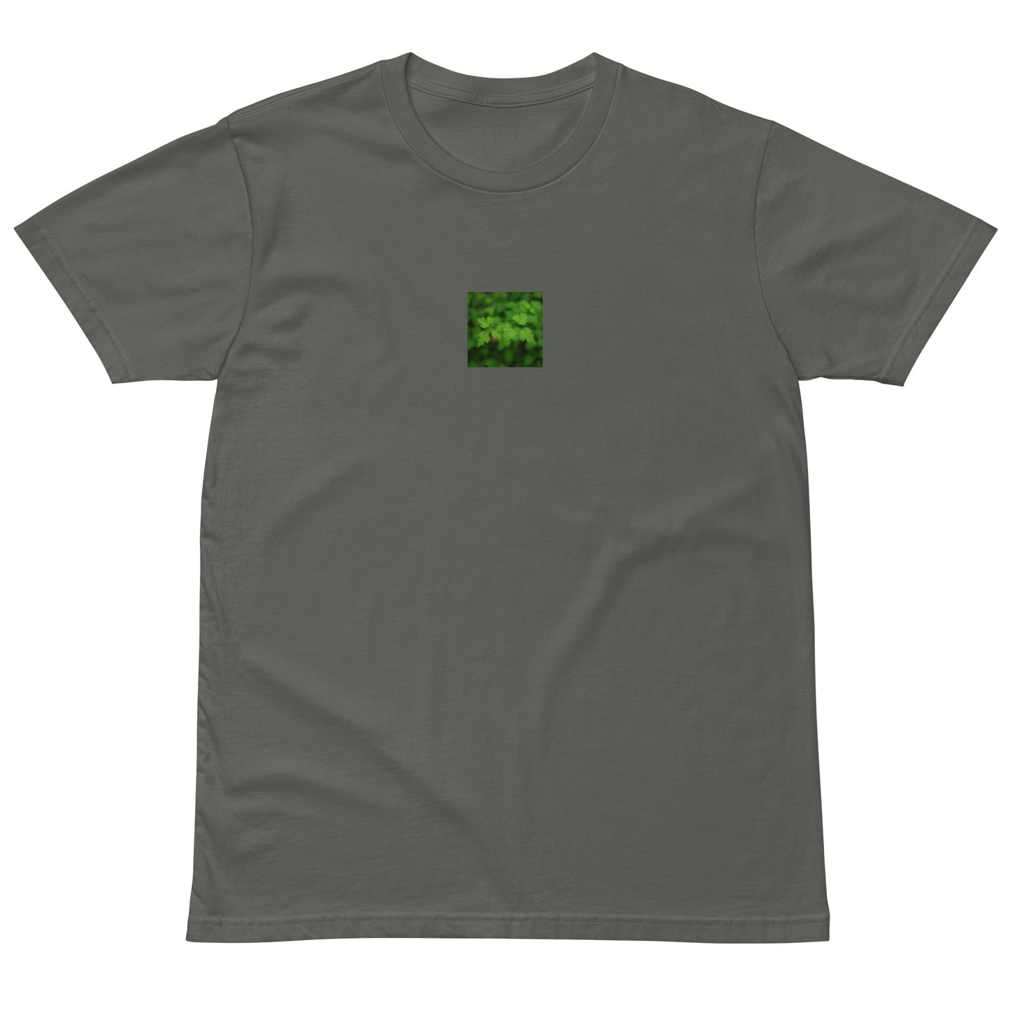 Premium T-Shirt in Charcoal – plants botanical art print, detail view
