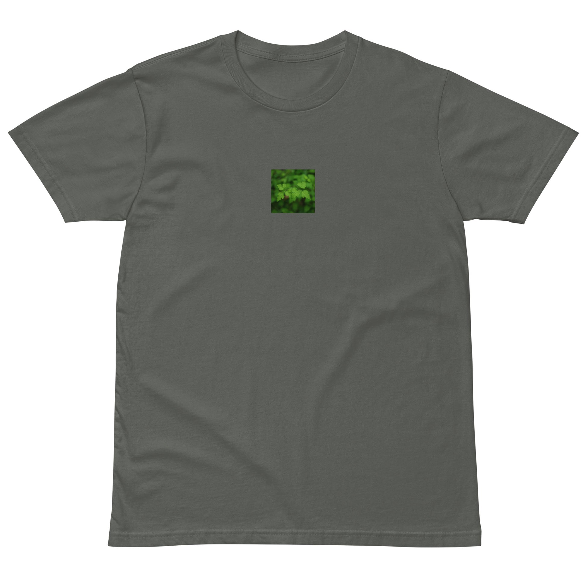 Premium T-Shirt in Charcoal – plants botanical art print, detail view

