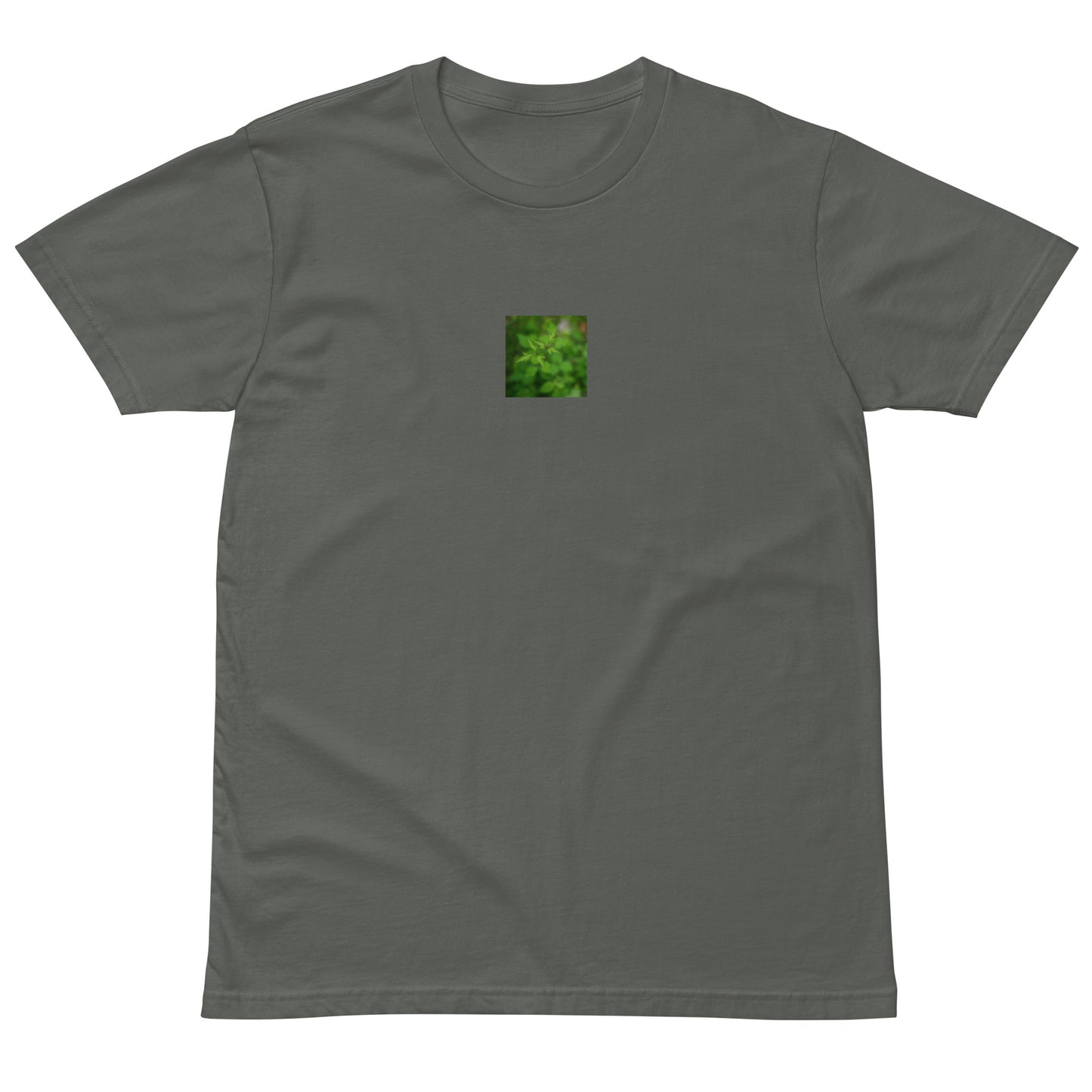 Botanical Plant Art – Unisex Premium T-Shirt, Charcoal, Front View
