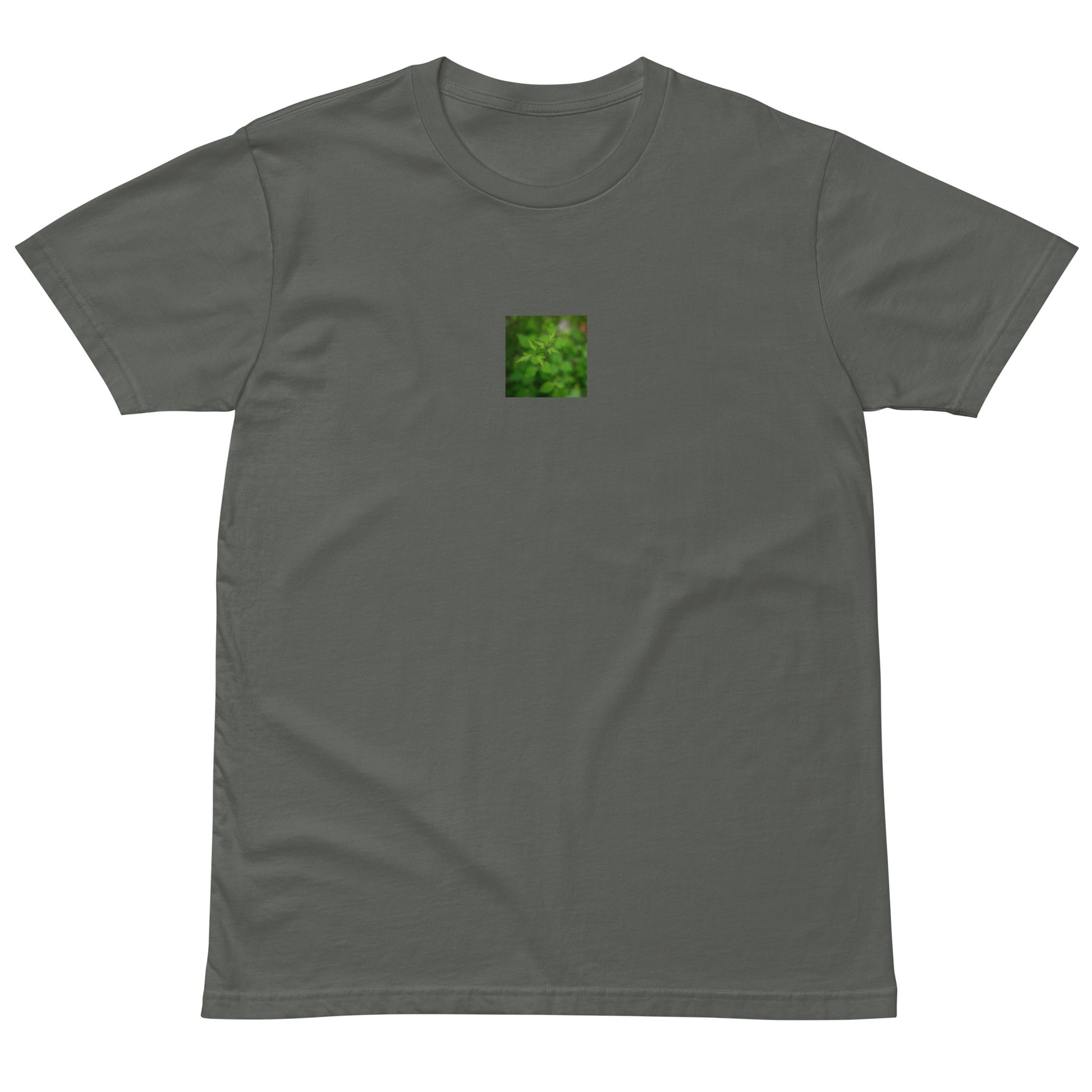 Botanical Plant Art – Unisex Premium T-Shirt, Charcoal, Front View
