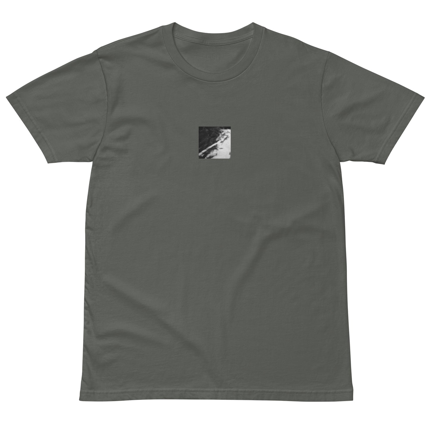 River Surface Botanical B&W Art – Unisex Premium T-Shirt, Charcoal, Front View