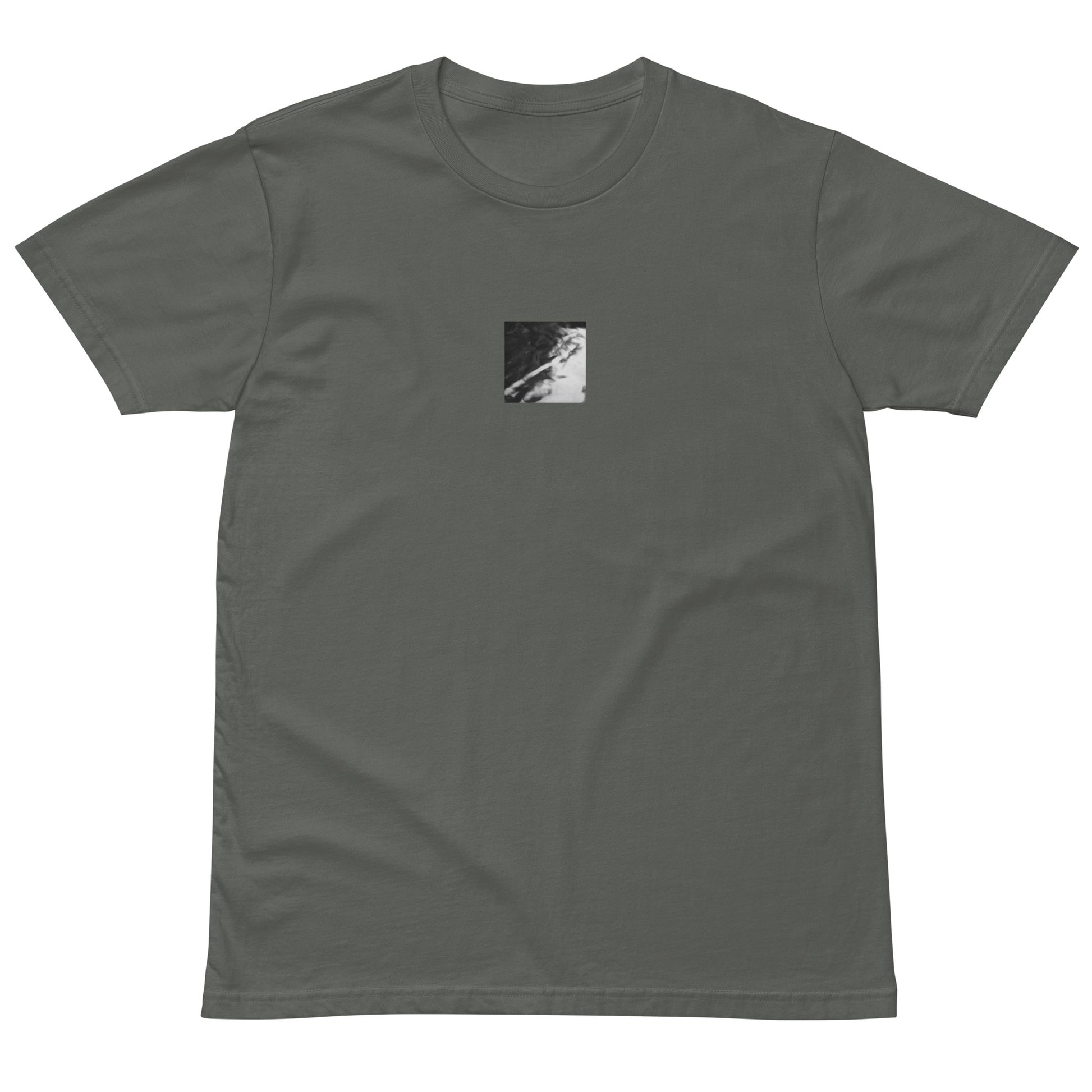 River Surface Botanical B&W Art – Unisex Premium T-Shirt, Charcoal, Front View