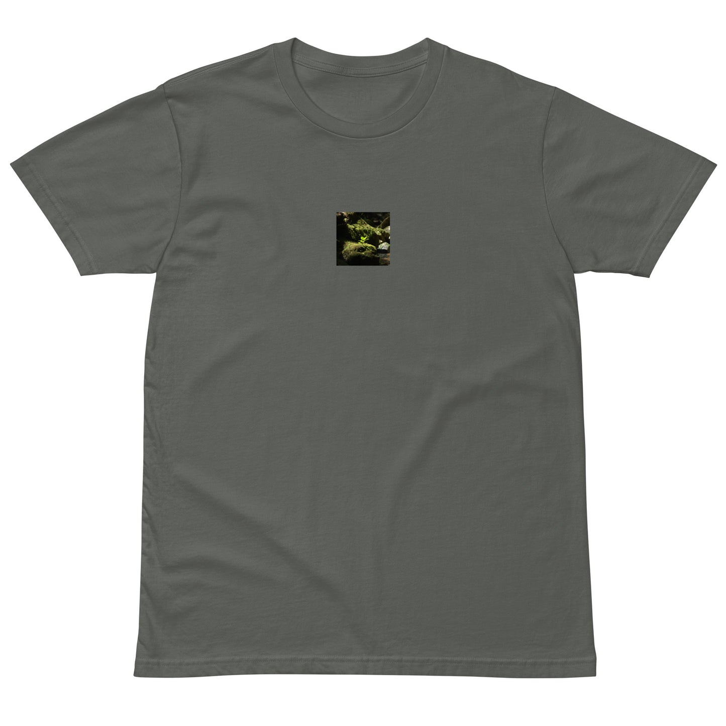 Plant on a Rock Art – Premium T-Shirt, Charcoal, Front View