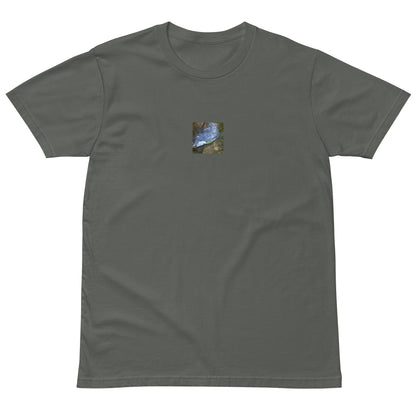 Drifted Leaf - Premium T-Shirt Charcoal