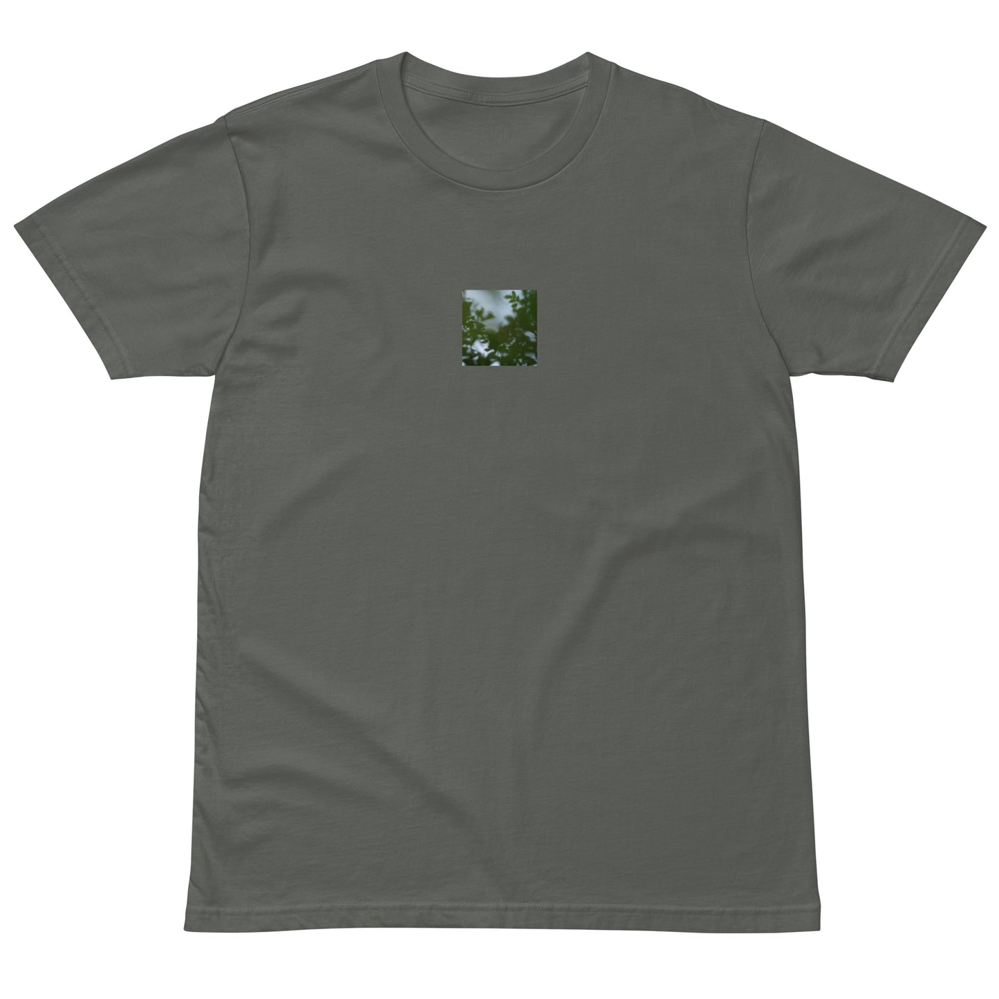Minimalist streetwear style unisex premium T-shirt in charcoal, featuring a 'Tree Branches' botanical print on the chest. / Tree Branches プレミアムTシャツ（チャコール）：落ち着いた色味にボタニカルな枝が映える、モダンでミニマルなモードストリート系Tシャツ。