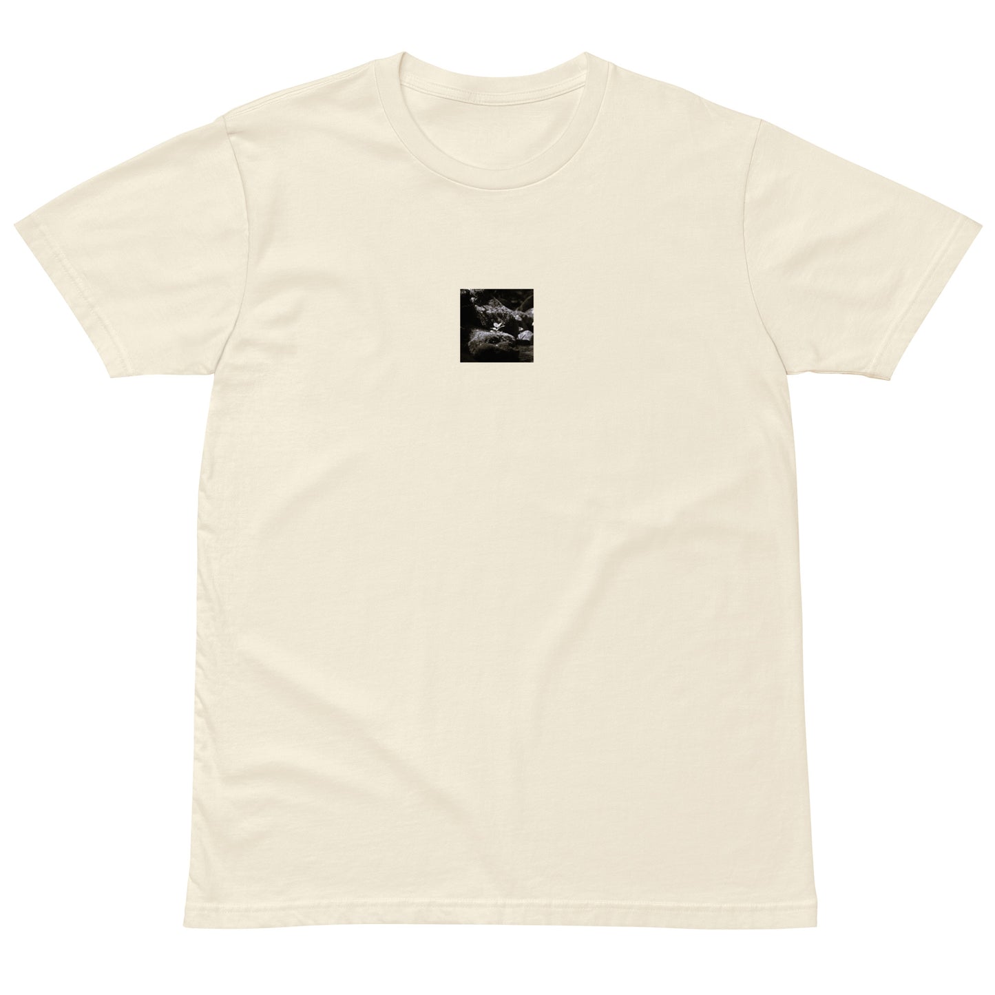 Plant on a Rock (B&W) Art – Premium T-Shirt, Charcoal, Front View