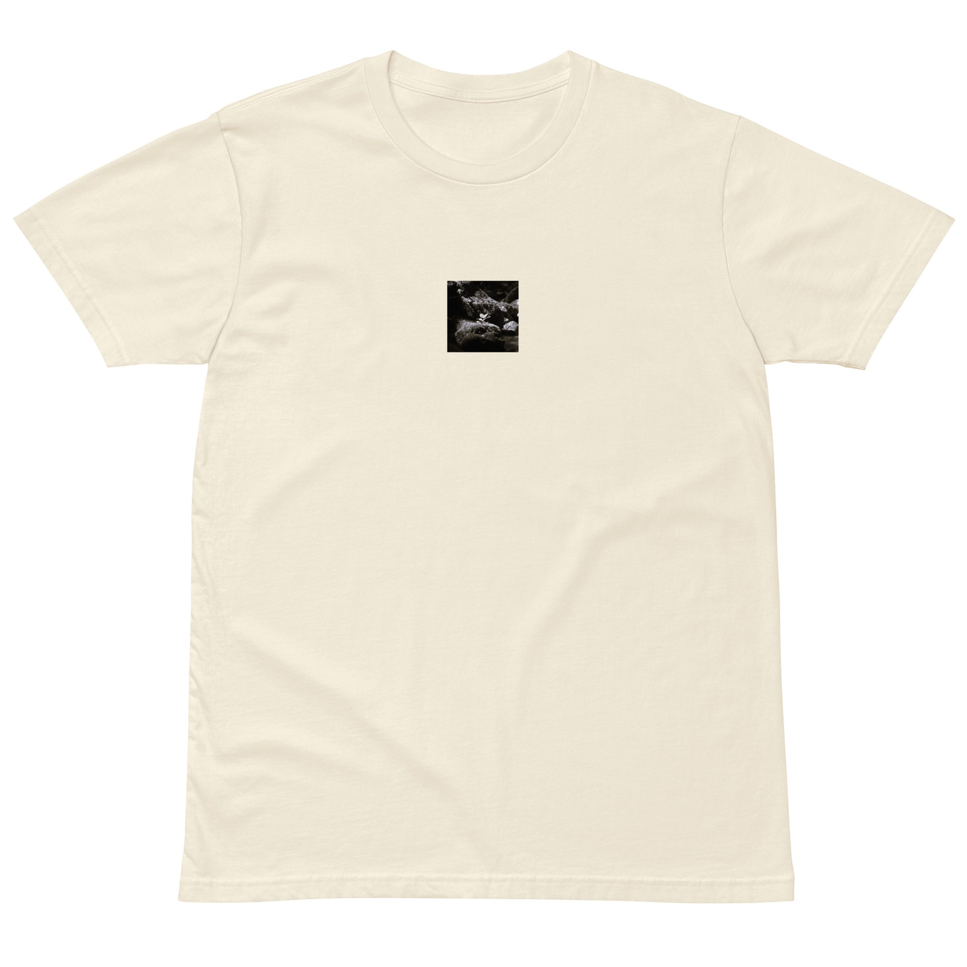 Plant on a Rock (B&W) Art – Premium T-Shirt, Charcoal, Front View