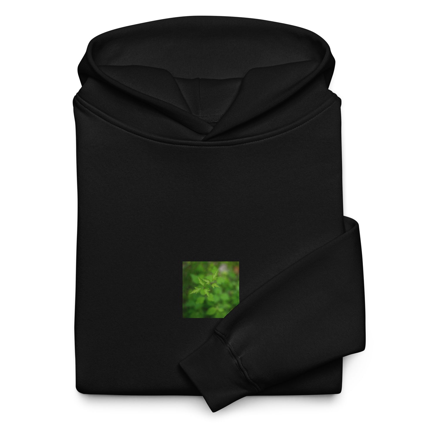 Botanical Plant Art – Unisex Oversized Hoodie, Black, Front View
