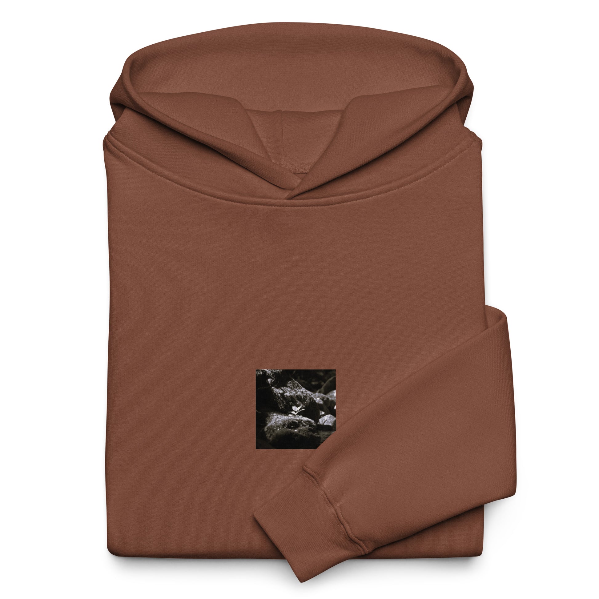 Plant on a Rock (B&W) Art – Unisex Oversized Hoodie, Chestnut, Front View