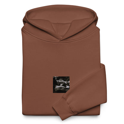 Plant on a Rock (B&W) Art – Unisex Oversized Hoodie, Chestnut, Front View