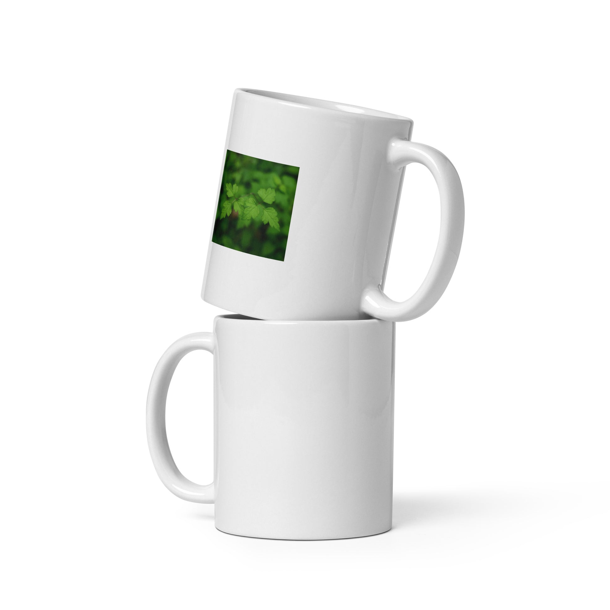 White glossy mug with monochrome botanical plants print, front view – seiartinc
