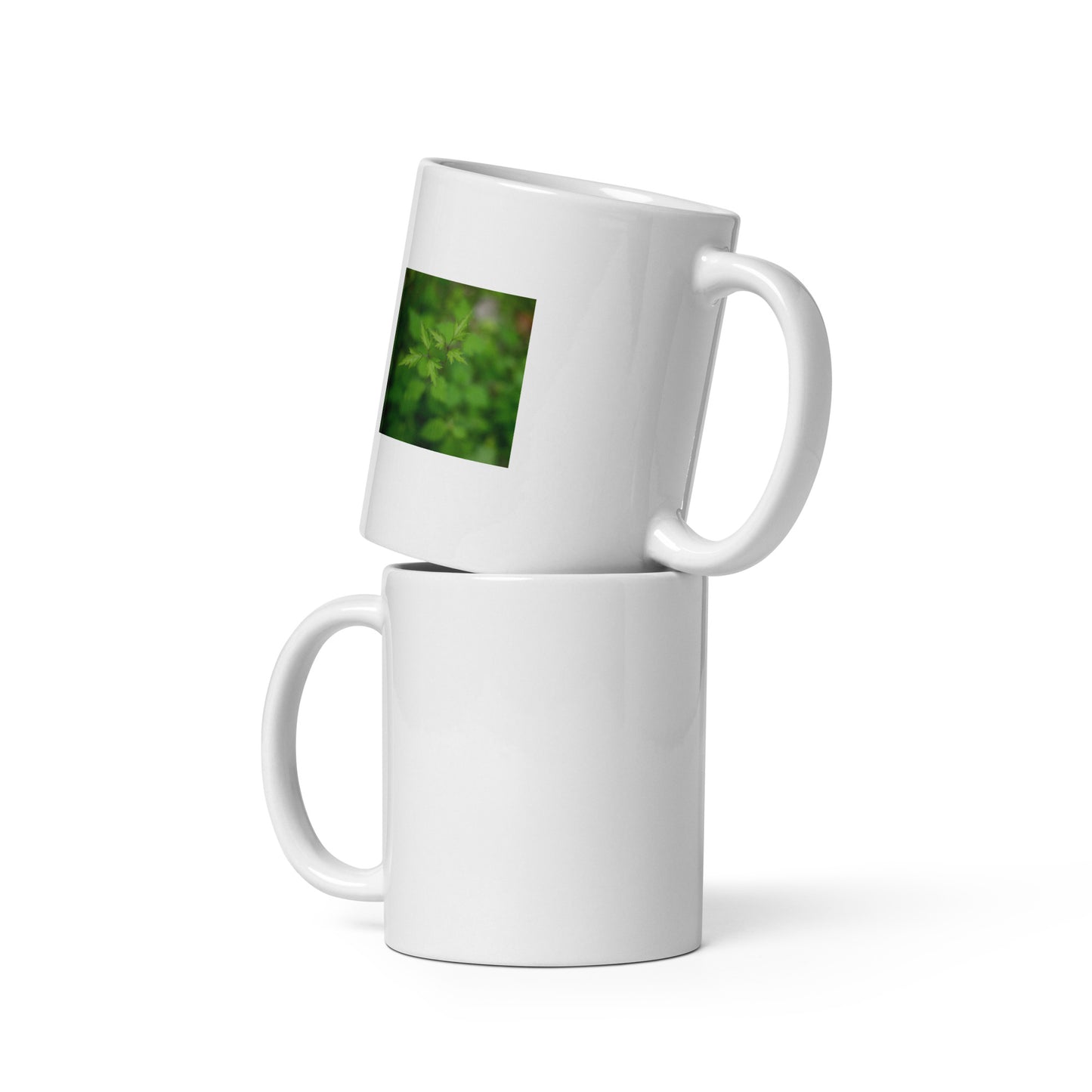 Botanical Plant Art – White Glossy Mug 11oz, Front View
