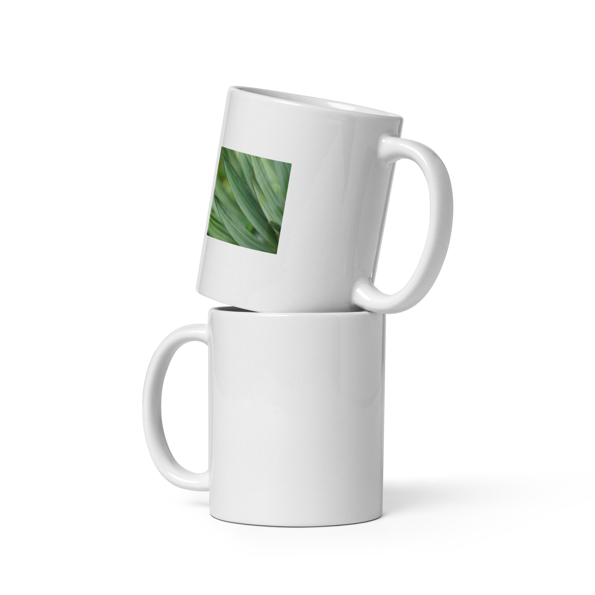 Minimalist style ceramic mug featuring a vivid, detailed color photograph of a Yucca plant. Glossy finish, 11 oz capacity, durable and microwave-safe design. A sophisticated botanical accent for any modern kitchen or office. / ユッカ植物の鮮明なカラー写真がプリントされたセラミックマグカップ。光沢仕上げ、容量11oz。モダンなキッチンやオフィスを洗練された印象にするミニマルなテーブルウェア。