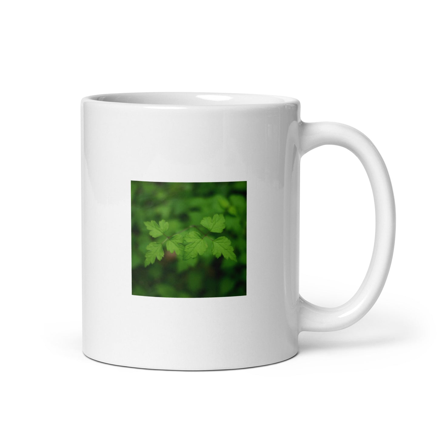 White glossy mug with botanical B&W plants art, handle on right – seiartinc
