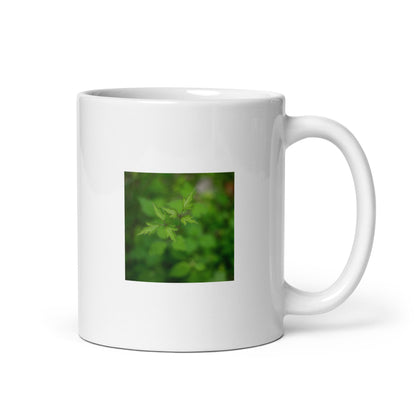 Botanical Plant Art – White Glossy Mug 11oz, Front View
