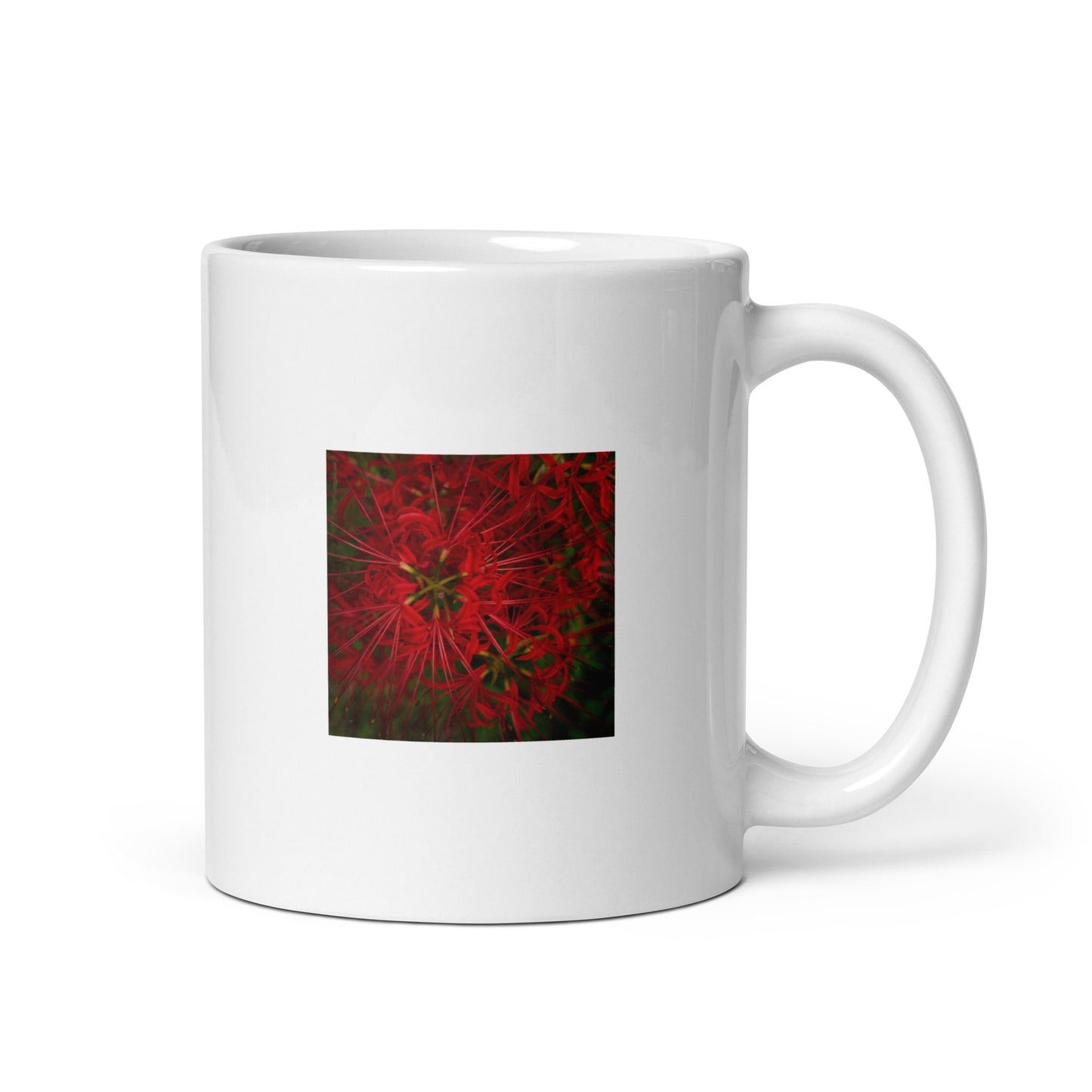 Red Spider Lily Botanical Art – White Glossy Mug 11oz, Front View
