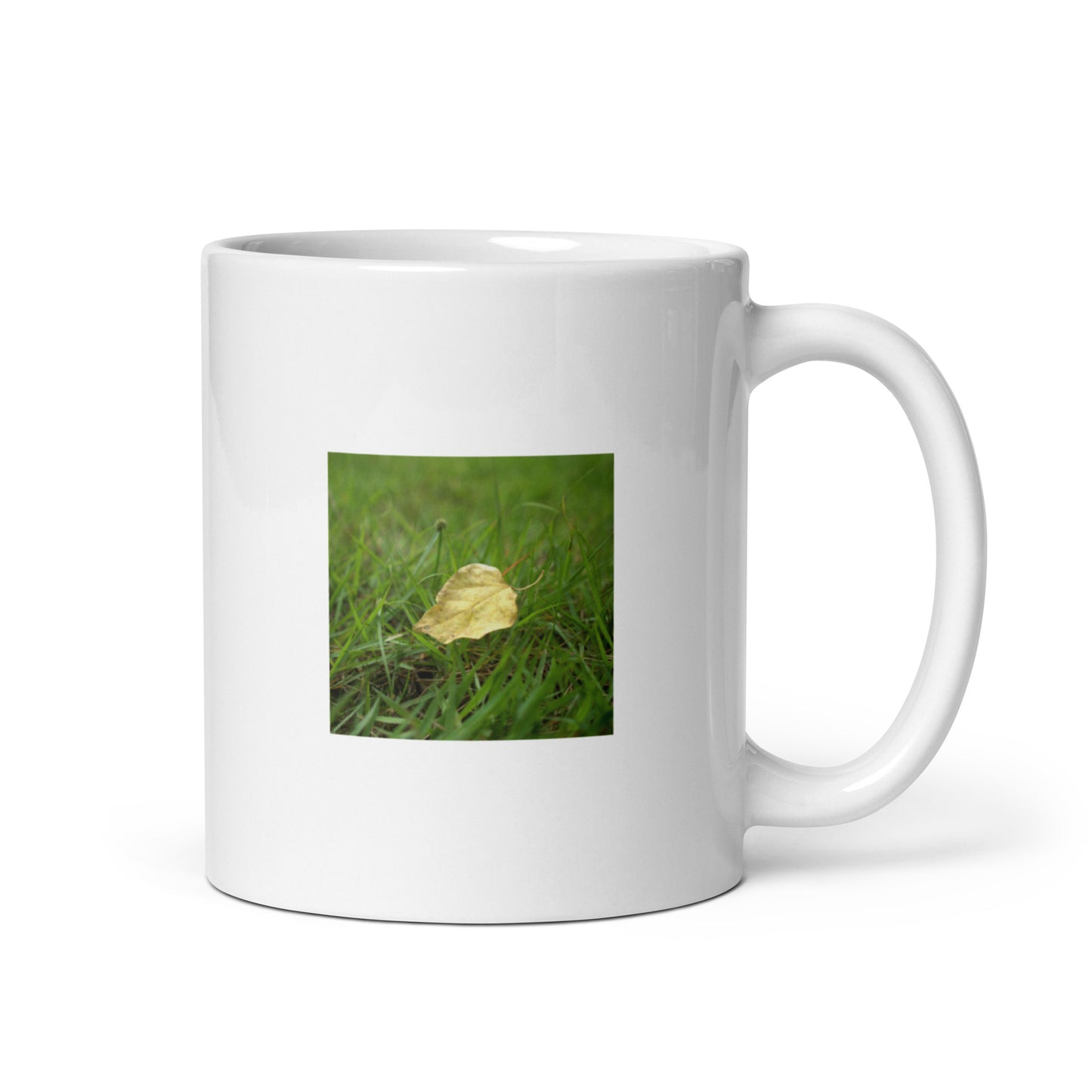 Yellow Fallen Leaf Botanical Art – White Glossy Mug 11oz, Front View