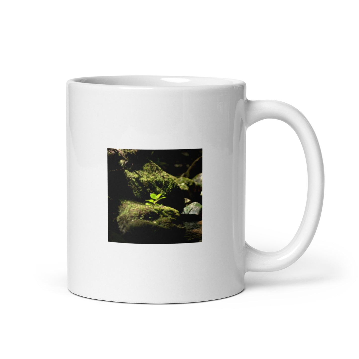 Plant on a Rock Art – Ceramic Mug, Front View
