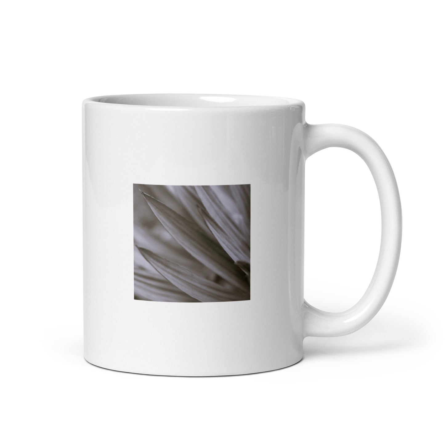 Minimalist mode style ceramic mug with a 'Yucca Plant' black and white photo print / モードストリート系セラミックマグカップ、「Yucca Plant（ユッカの植物）」のモノクロ写真プリント（コーヒーマグ）