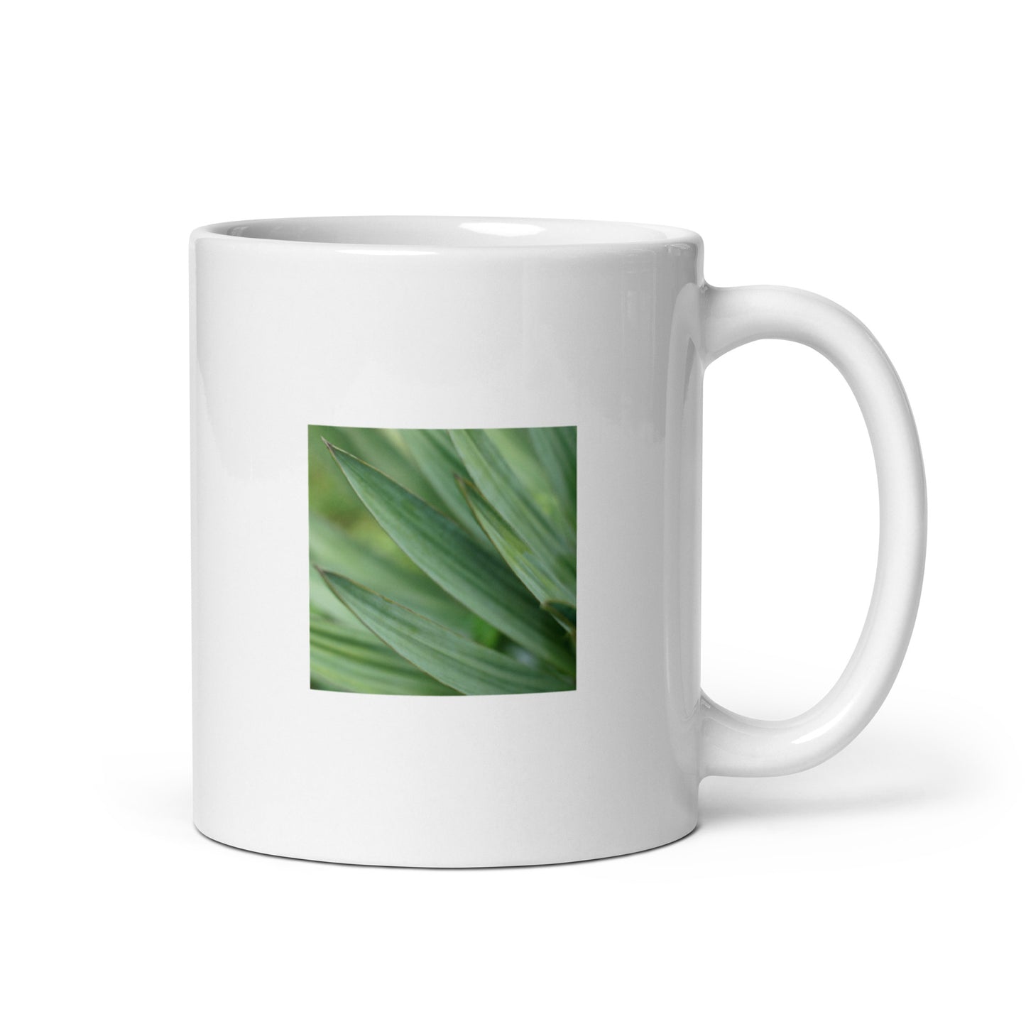Minimalist style ceramic mug featuring a vivid, detailed color photograph of a Yucca plant. Glossy finish, 11 oz capacity, durable and microwave-safe design. A sophisticated botanical accent for any modern kitchen or office. / ユッカ植物の鮮明なカラー写真がプリントされたセラミックマグカップ。光沢仕上げ、容量11oz。モダンなキッチンやオフィスを洗練された印象にするミニマルなテーブルウェア。